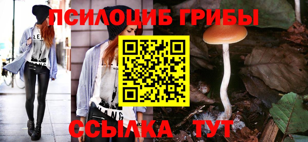 Новошахтинск  цены   Вход с VPN  Псилоцибиновые грибы мухоморы 